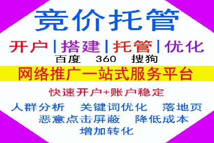 竞价代运营成功案例解析